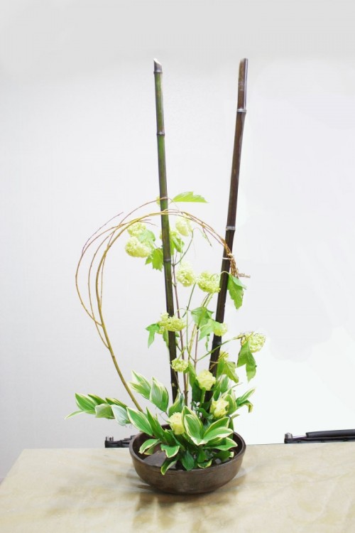 2020년 화훼장식기능사 실기 동양꽃꽂이 경사형 - YouTube 동양꽃꽂이 > 동양꽃꽂이 | 로얄플라워” style=”width:100%” title=”동양꽃꽂이 > 동양꽃꽂이 | 로얄플라워”><figcaption>동양꽃꽂이 > 동양꽃꽂이 | 로얄플라워</figcaption></figure>
<figure><img decoding=